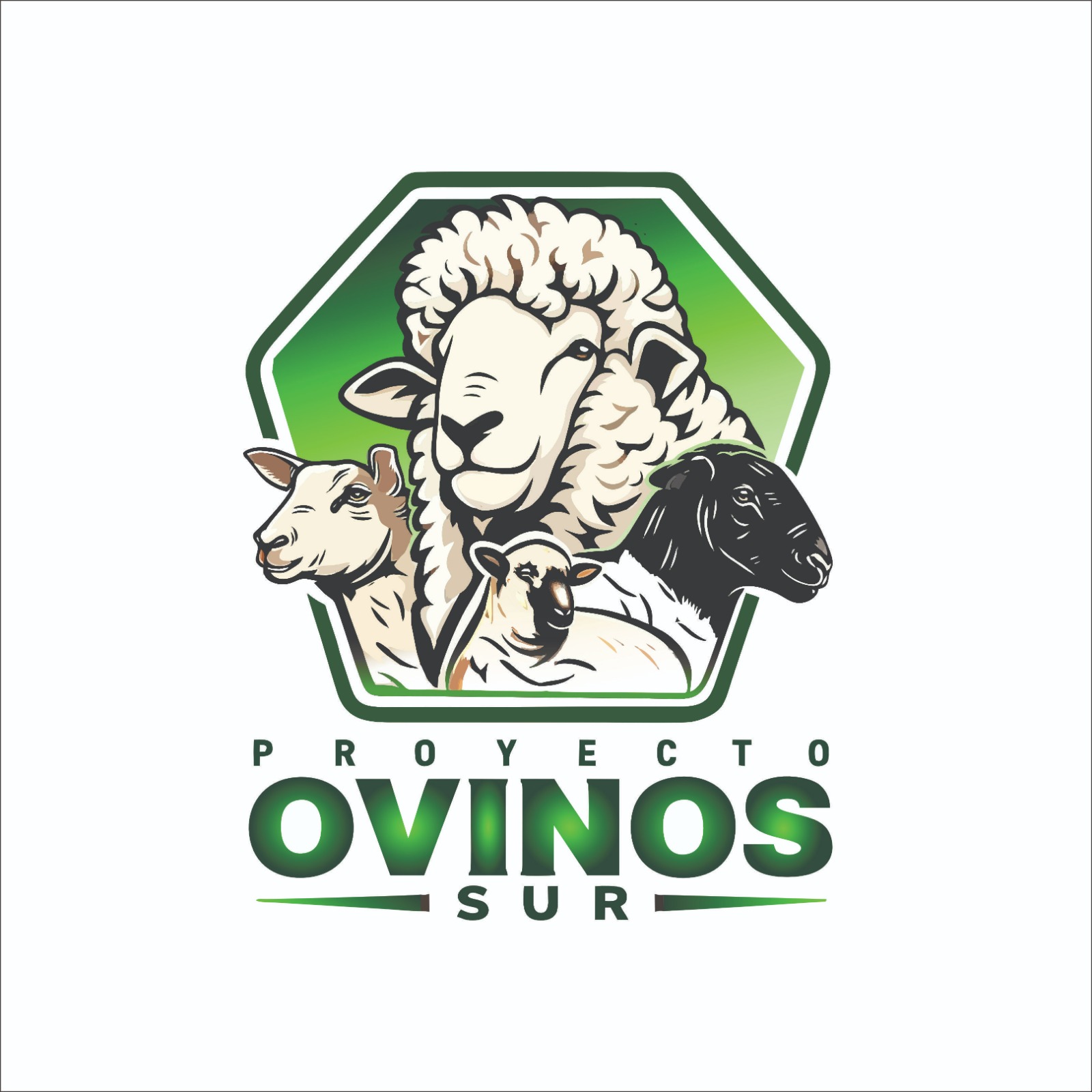 Logo Empresa